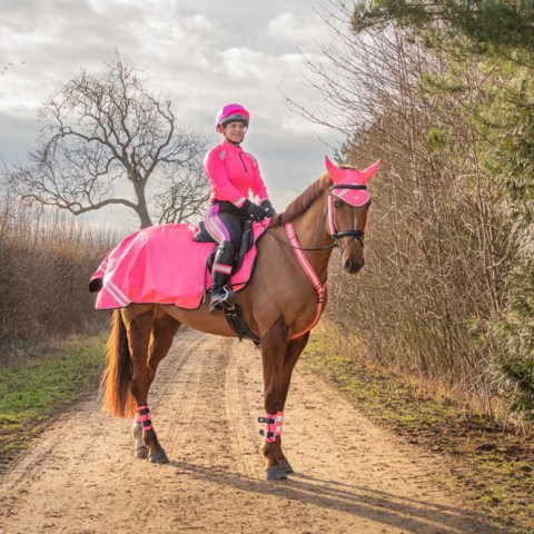 Hy Equestrian Reflector Base Layer Pink