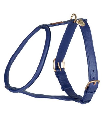 Digby & Fox Rolled Leather Dog Harness