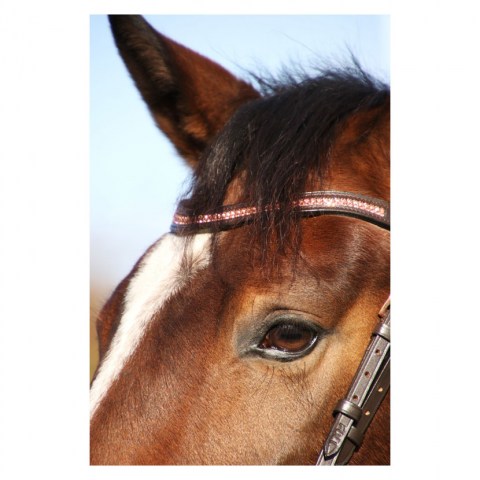 Hy Equestrian Rosciano Rose Gold Brow Band