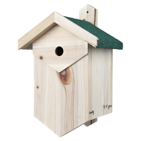 Nest box for cavity nesters